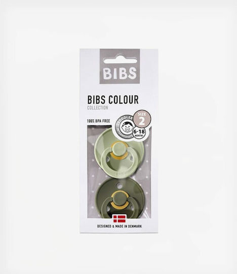 Bibs Colour Pacifiers Rubber Sage / Hunter Green for 6-18 Months 2 Pieces