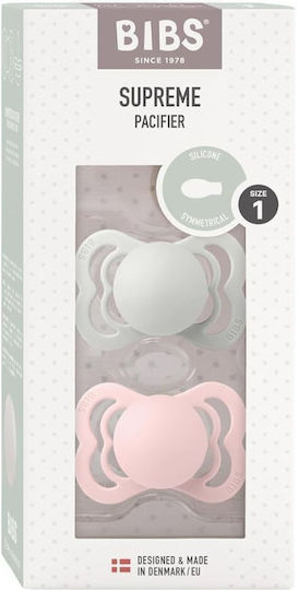 Bibs Supreme Schnuller Gummi Dummy Haze / Blüte für 0+ Monate 2Stück