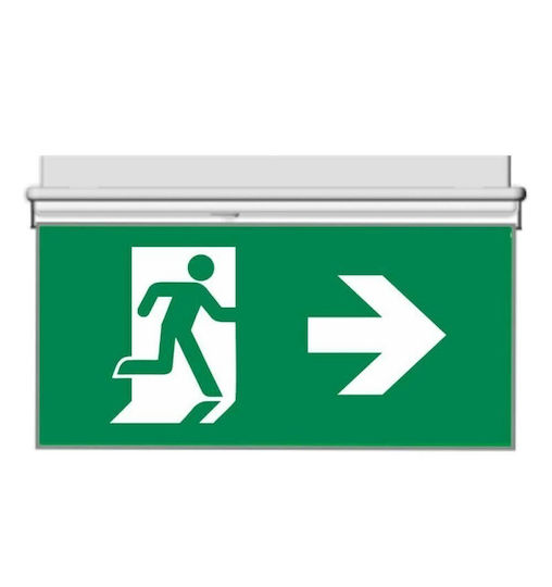 Olympia Electronics Emergency Light OLY-1004/CBS/230V 1pcs