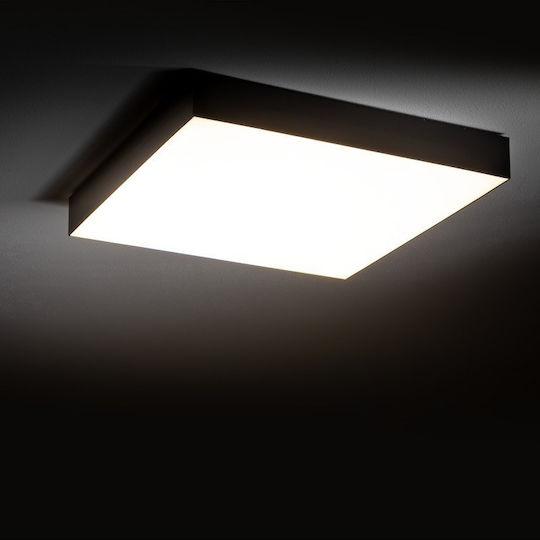 Nowodvorski Panou LED 50W
