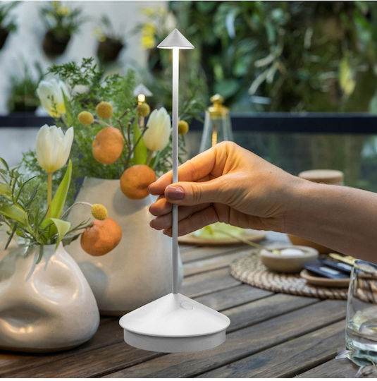 Decorative Table Lamp Pina LED Adjustable White LD1650N3