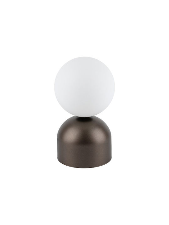 TK Lighting Διακοσμητικό Φωτιστικό G9 12x12x21εκ.