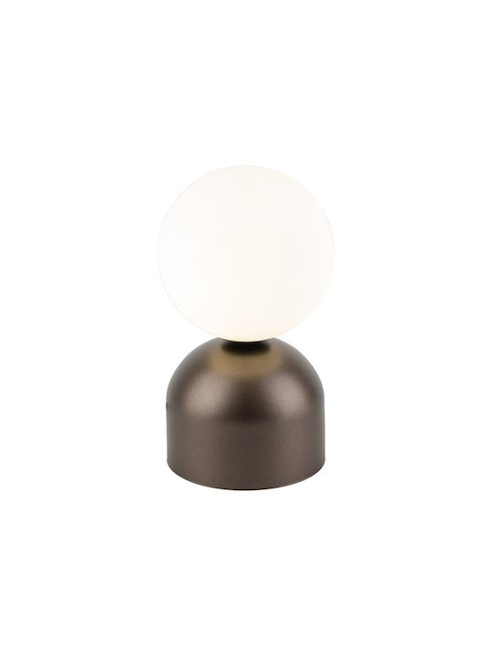 TK Lighting Διακοσμητικό Φωτιστικό G9 12x12x21εκ.