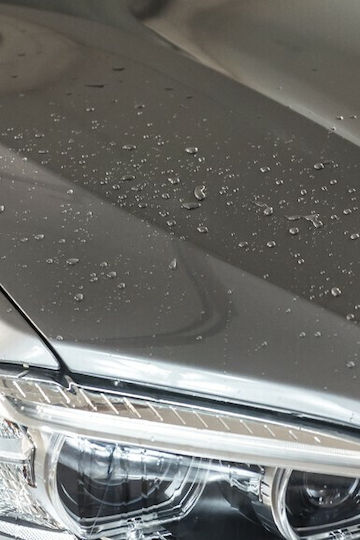 Autoland Paste Wax for Car Body 100gr