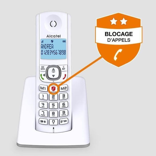Alcatel F530 (Английско Меню) Безжичен Телефон Сив