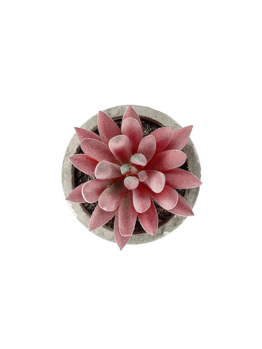 Artificial Plant in Small Pot Aloe Red 9cm in Box GloboStar