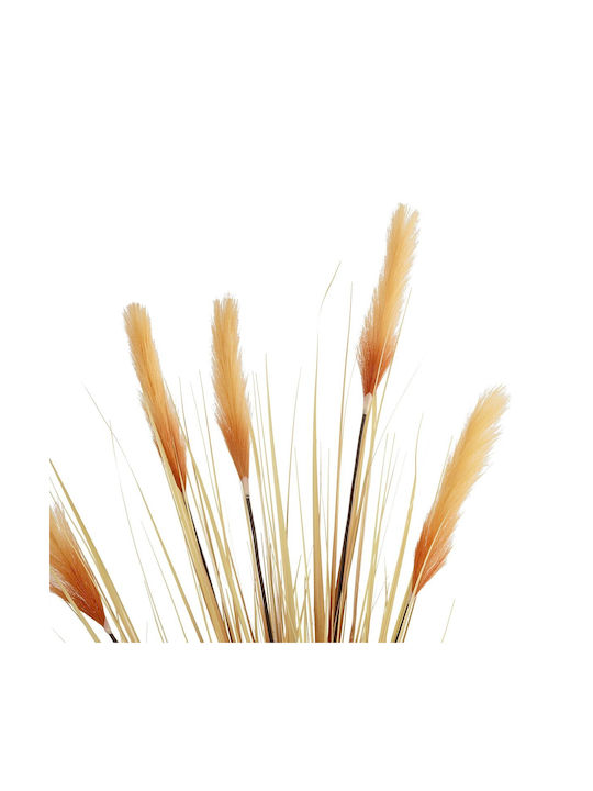 Pampas grass Εξωτερικού Χώρου Μπεζ 150cm σε Κουτί GloboStar