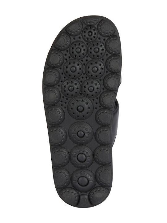 Geox