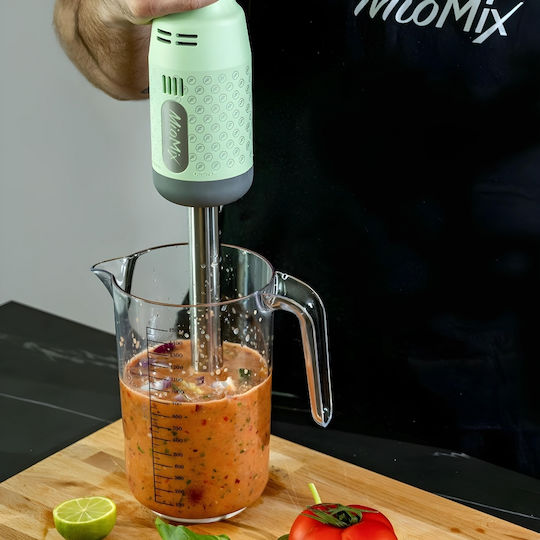 Fama Industrie Commercial Hand Blender 250W with Shaft
