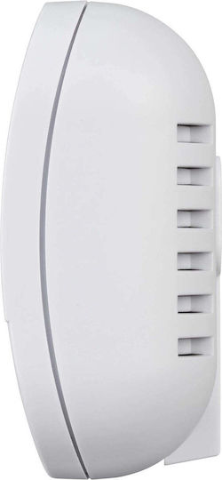 Brennenstuhl Autonomous Carbon Monoxide Detector