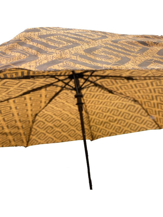 Rain Windproof Automatic Umbrella Compact Brown