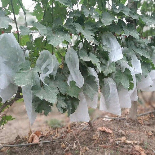 Ύφασμα Προστασίας Καρπών 10 Τεμ