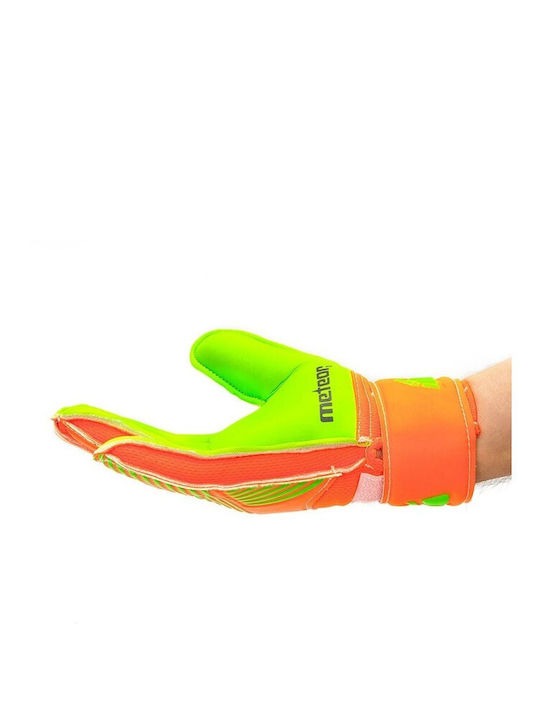 Meteor Adults Goalkeeper Gloves Green