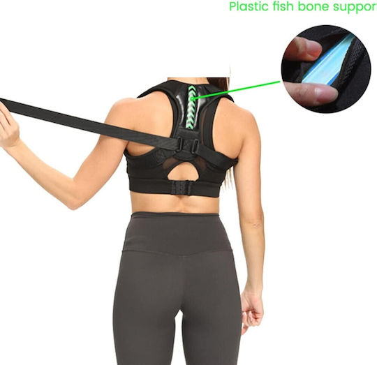 Back Splint in Black Colour 1OMO60