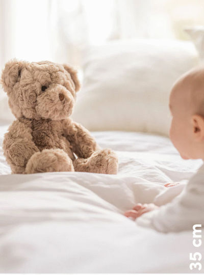 Teddy Kompaniet Λούτρινο Αρκουδάκι 35 εκ.