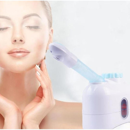 Tabletop Facial Steamer Face Purifier Family H-167