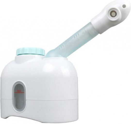 Tabletop Facial Steamer Face Purifier Family H-167
