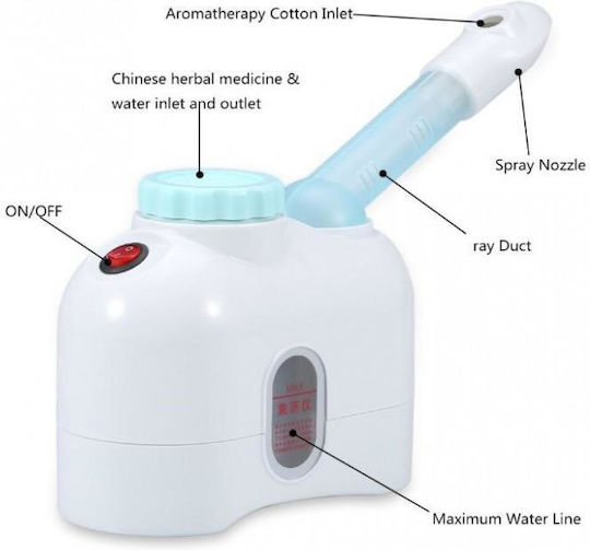 Tabletop Facial Steamer Face Purifier Family H-167