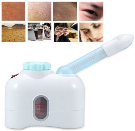Tabletop Facial Steamer Face Purifier Family H-167