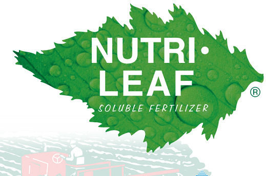 Nutri-leaf Sol-u-gro 12-48-8 1kg