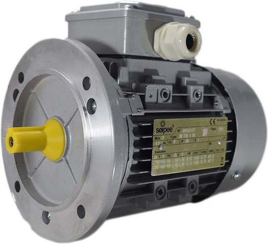 Single-Phase Electric Motor 0.75 Kw 1 Hp 230v/50hz 4 Poles B5 Seipee 04916