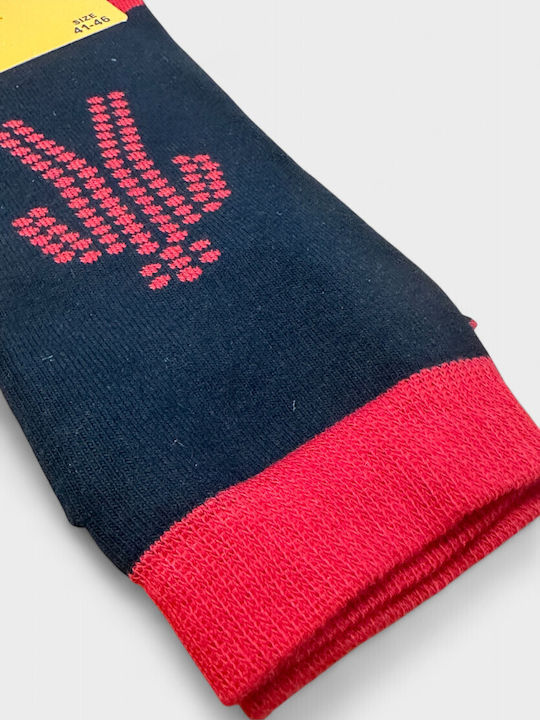 Pournara Men's Patterned Socks Blue With Red