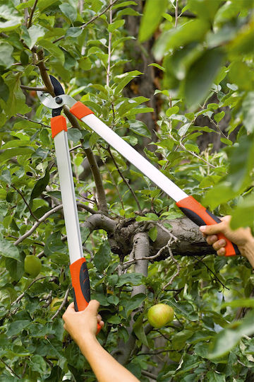 Pruning Shears Telescopic Handle Lopper Hobby 66 Stocker 7230