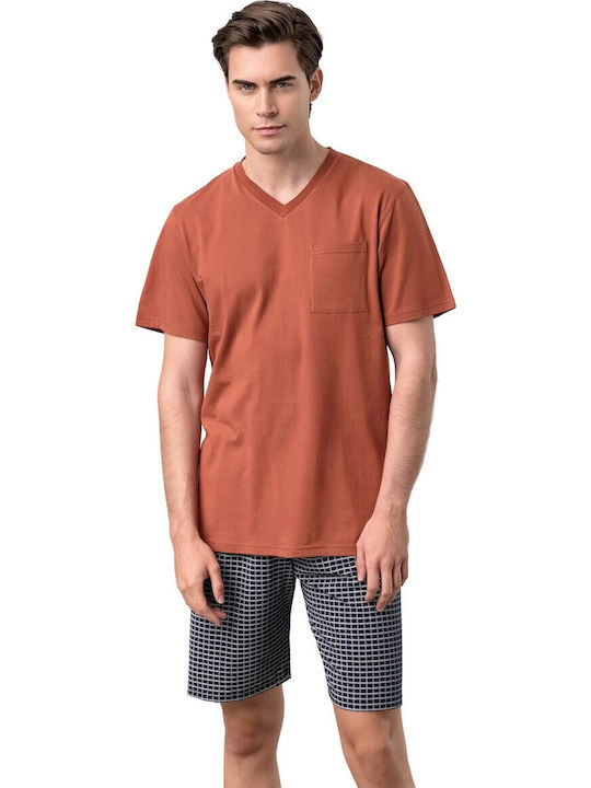 Vamp Orange