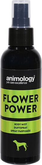Celebrate Freshness Flower Power Dog Perfume Spray 150ml