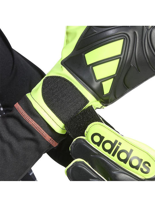 adidas Copa Γάντια Τερματοφύλακα Ενηλίκων Μαύρα