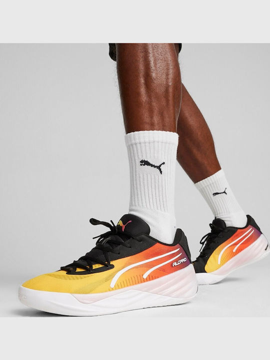 All-Pro Nitro Showtime Niedrig Basketballschuhe Mehrfarbig