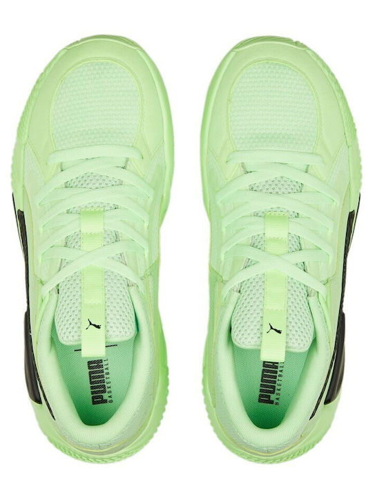 Court Rider Chaos Niedrig Basketballschuhe Grün