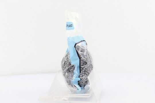Sidirela Siro General Use Silver Sponge