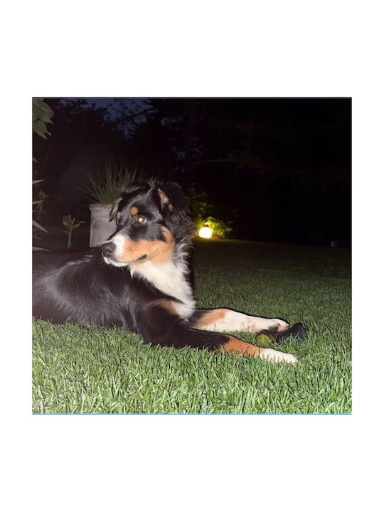 Dog Chew Ball Bouncing Glowing Rubber Tug Floating Toy