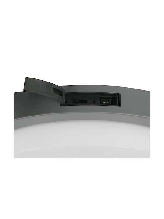 Trio Lighting Bermejo Таванно осветление Сив