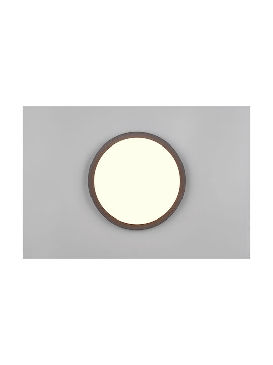 Trio Lighting Bermejo Таванно осветление Сив