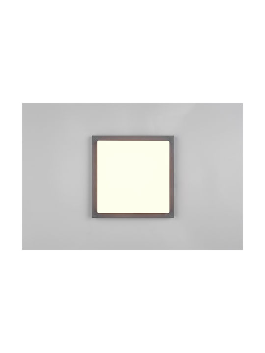 Trio Lighting Bermejo Plafonieră de Tavan Gri