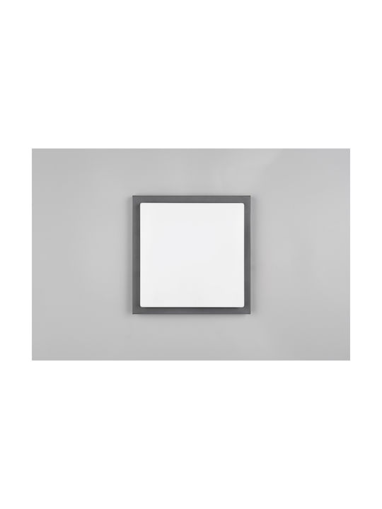 Trio Lighting Bermejo Plafonieră de Tavan Gri