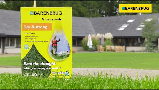 Barenbrug Μίγμα Γκαζόν Shadow Σπόρος 1 Kg
