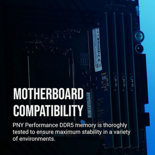 PNY Performance 8GB DDR5 RAM with 4800 Speed for Desktop