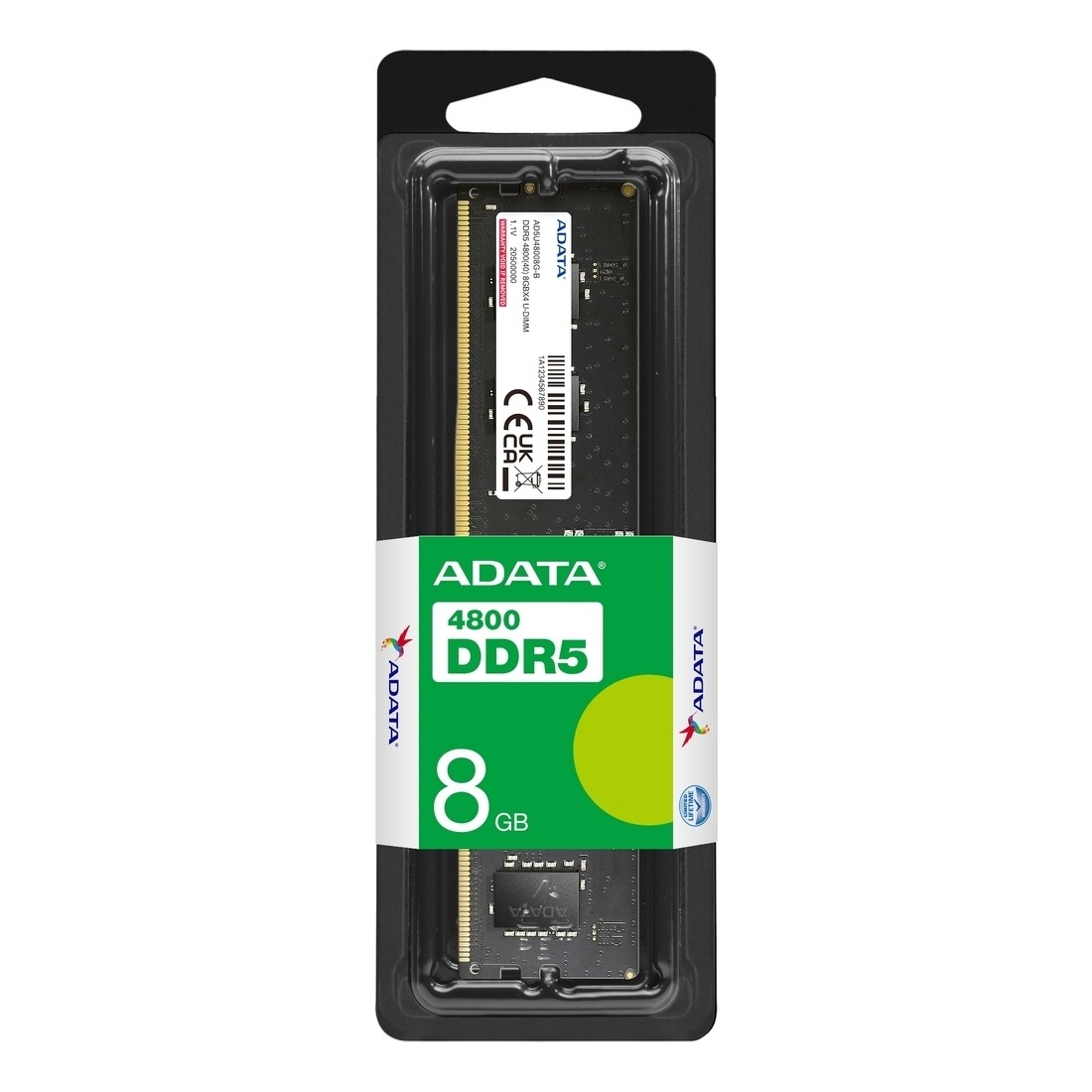 立*明様 ADATA DDR5 4800 8GB x 2 Amazon | エイデータ(Adata) AD5U48008G-DT DDR5-4800 288pin 8GBx2枚