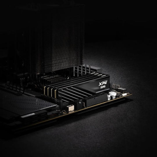 Adata Lancer DDR5 with Module 1x16GB and Speed 5600 for Desktop