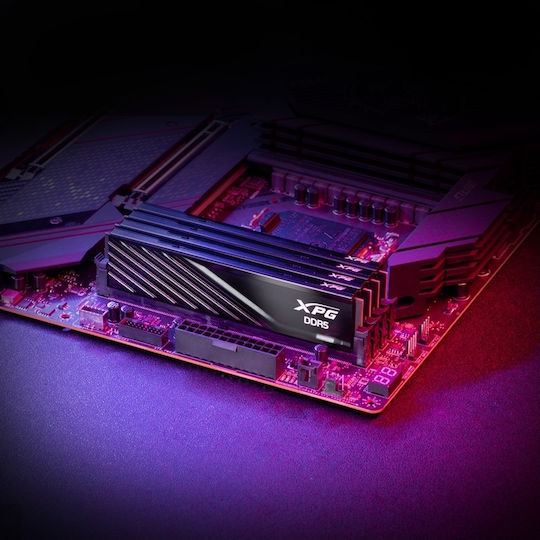 Adata Lancer DDR5 with Module 1x16GB and Speed 5600 for Desktop