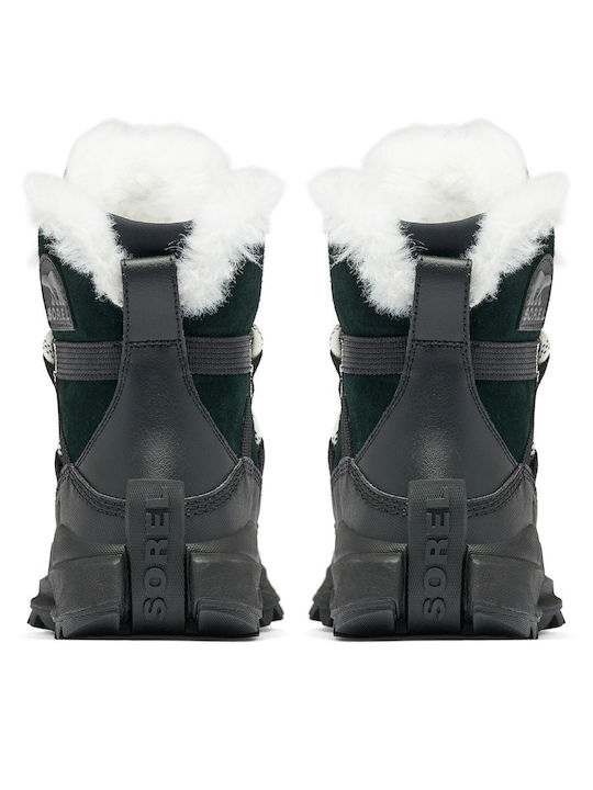 Sorel