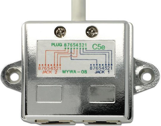 DeLock Μετατροπέας RJ-45 male σε RJ-45 female Γκρι 1τμχ 65177