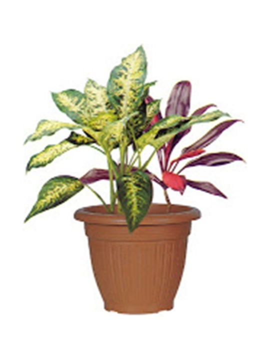 Sic Plast Patmos Ghiveci Plastic Fuchsia 25x25x13cm.