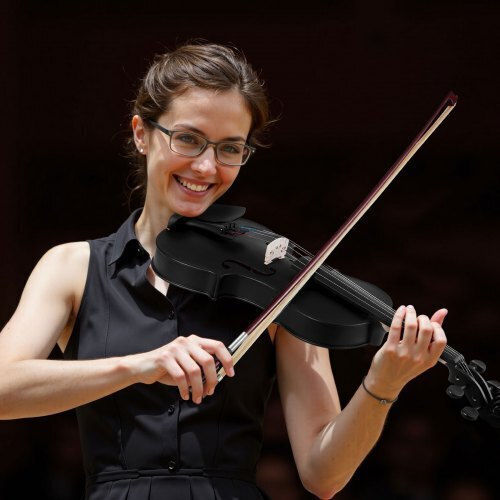 Vevor Violin 4/4