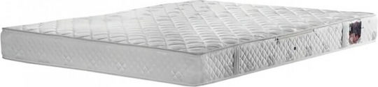 Linea Strom Fiesta Einzel Orthopädisch Matratze 90x200x18cm