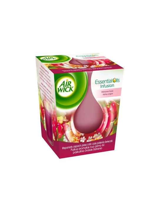 Airwick Lumânare Aromatică Mountain Berry Cu Miros De Muron 105gr