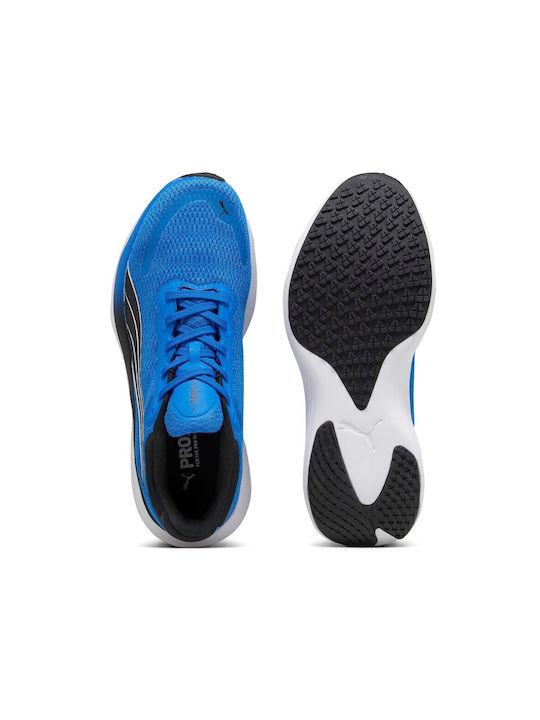 Scend Pro Sport Shoes Running Blue